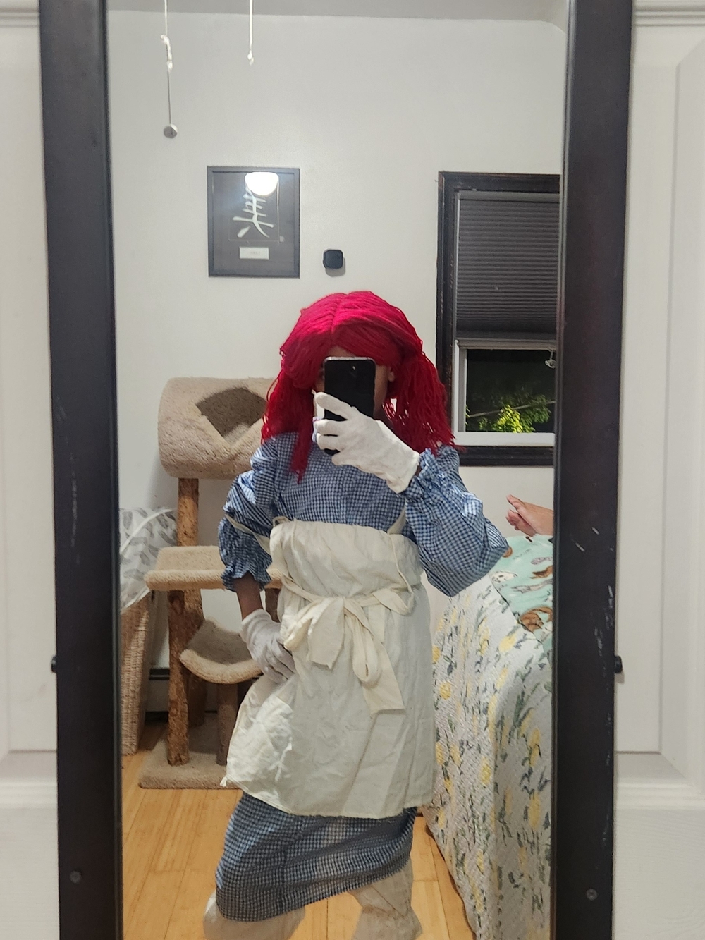 Adult/teen RAGGETY ANN Doll Check Dress Costume with White Apron